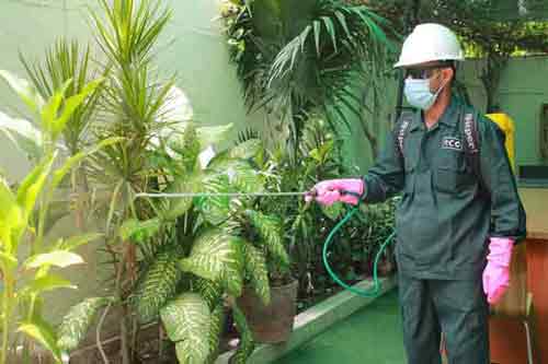 The Essential Guide to Fumigation Services: Understanding the Process and Benefits
