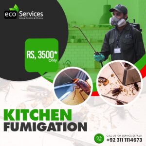 Kitchen-Fumigation